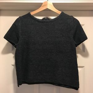 NWOT Zara Cropped Sweater Tee